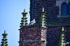 Dateiname=RR_Tiere_Storch_Aussicht.jpg
Dateigröße=845KB
Abmessungen: 1200x800
hinzugefügt am: 06. April 2025 RR_Tiere_Storch_Aussicht.jpg