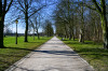 Roland_Alles_im_Park_Allee.jpg