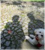 Dateiname=Schatten_Elise_Geborgen.jpg
Dateigröße=458KB
Abmessungen: 1200x1327
hinzugefügt am: 07. Oktober 2026 Schatten_Elise_Geborgen.jpg
