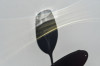 Dateiname=Schatten_Perla_Sektglas.jpg
Dateigröße=510KB
Abmessungen: 1200x800
hinzugefügt am: 09. Oktober 2026 Schatten_Perla_Sektglas.jpg