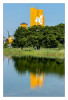 Spiegelung_Marianne_Am_Teich.jpg