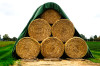 Dateiname=Verena_Leber_FreiStrohballen.jpg
Dateigröße=1226KB
Abmessungen: 1200x800
hinzugefügt am: 04. September 2026 Verena_Leber_FreiStrohballen.jpg